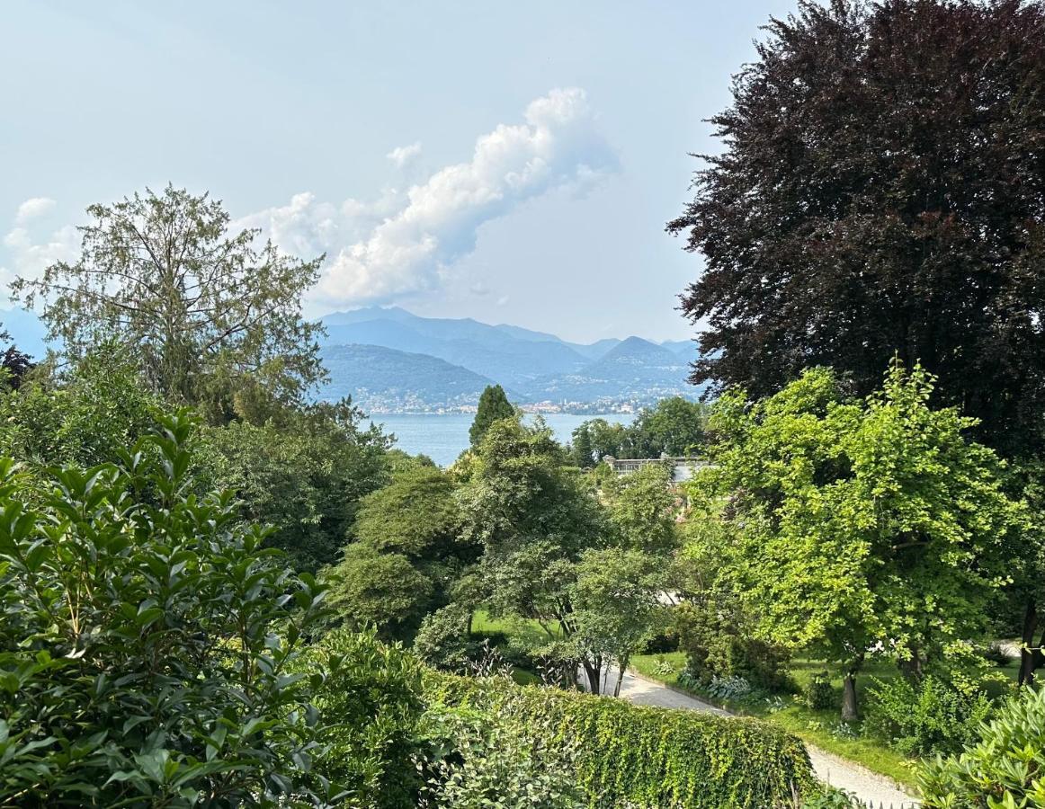 Pallavicino - Il Faggio Rosso * Stresa